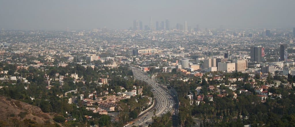 LA Waves White Flag In Concealed Carry Case