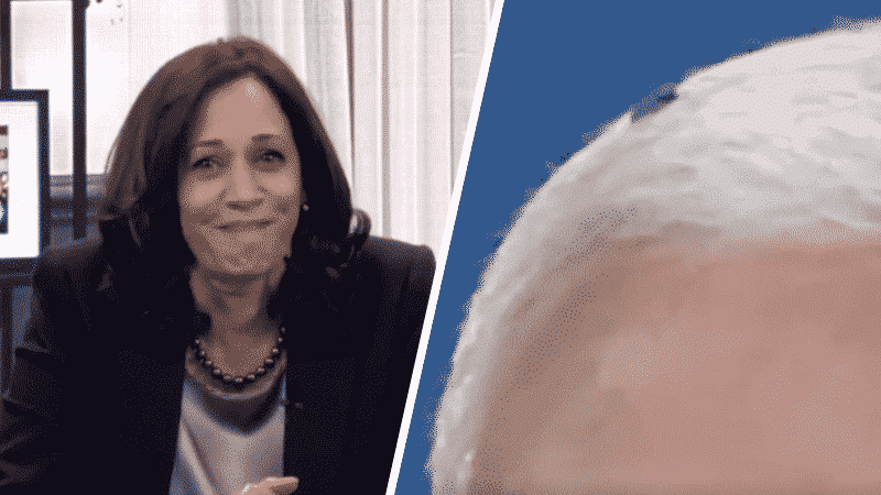 Kamala Harris Reveals She Saw the Fly on Pence’s Head During the Debate