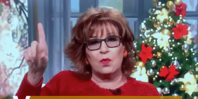 Joy Behar Suggests Idea for Those Who Do Not Want To Follow COVID Mitigation Efforts