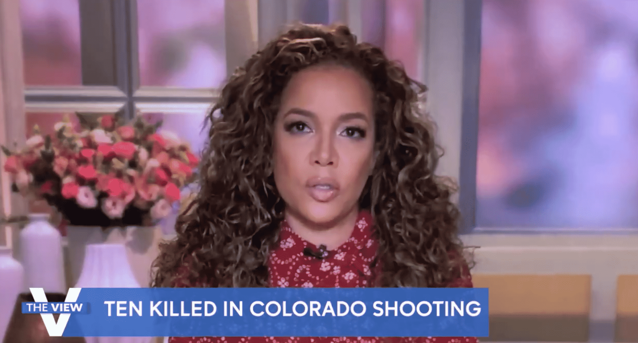 The View's Sunny Hostin Claims 'You Are Not a Patriot' if You Own an 'Assault Rifle'