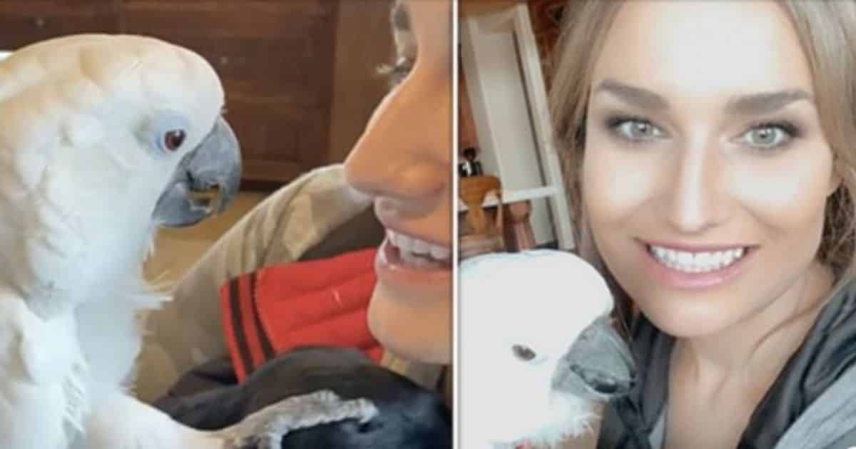 Idaho Parrot and Puppy Go Viral on TikTok After Forming an Unlikely Friendship