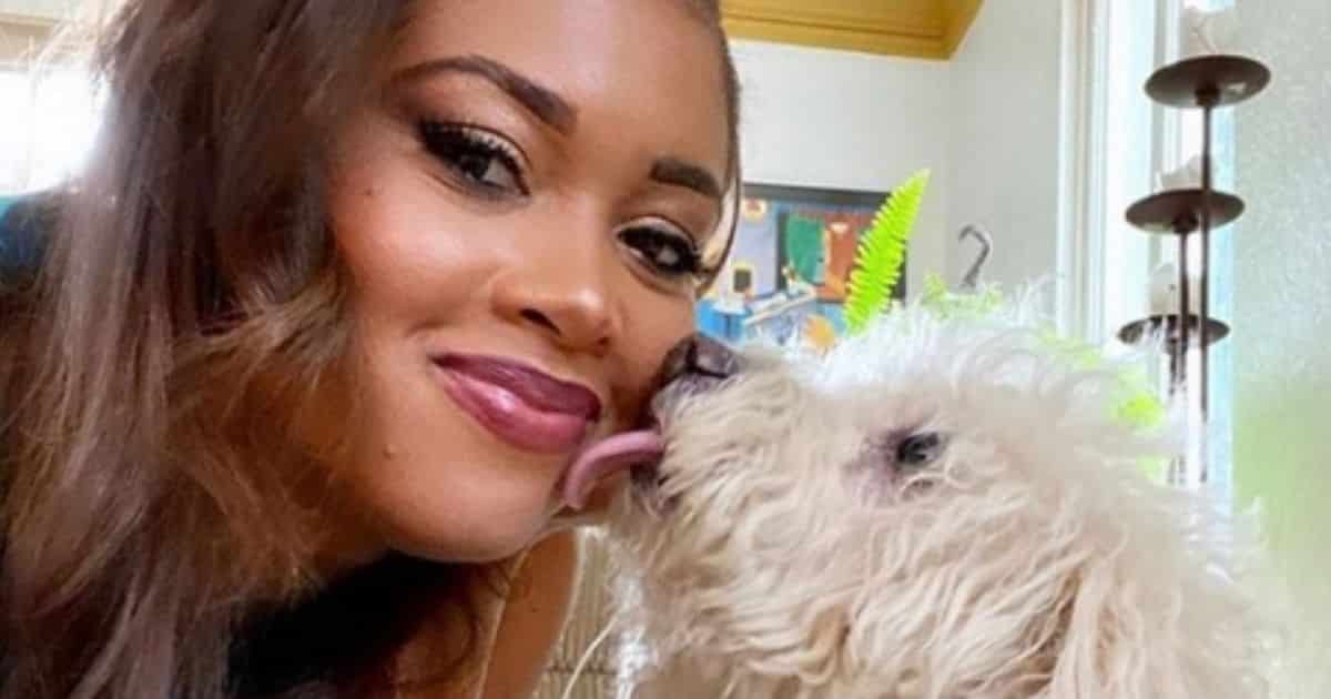 Four Former PetSmart Employees Facing Charges After Dog Was Allegedly Strangled During Grooming Visit