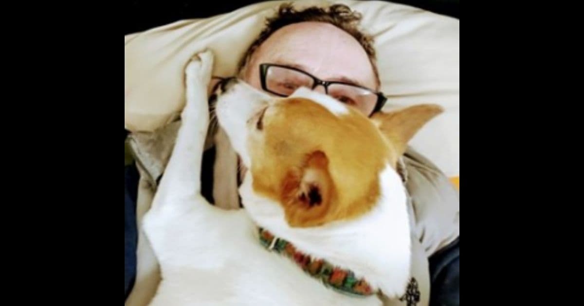 'She's All I Have': Man Heartbroken After Suspect Allegedly Murders Dog in Front of Him