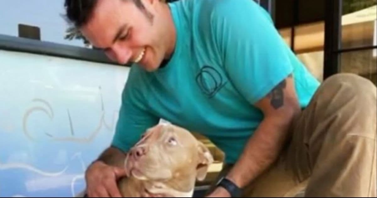 Pit Bull That Was Stabbed 7 Times Finds Loving New Home with Ex-Cop Who Saved Her