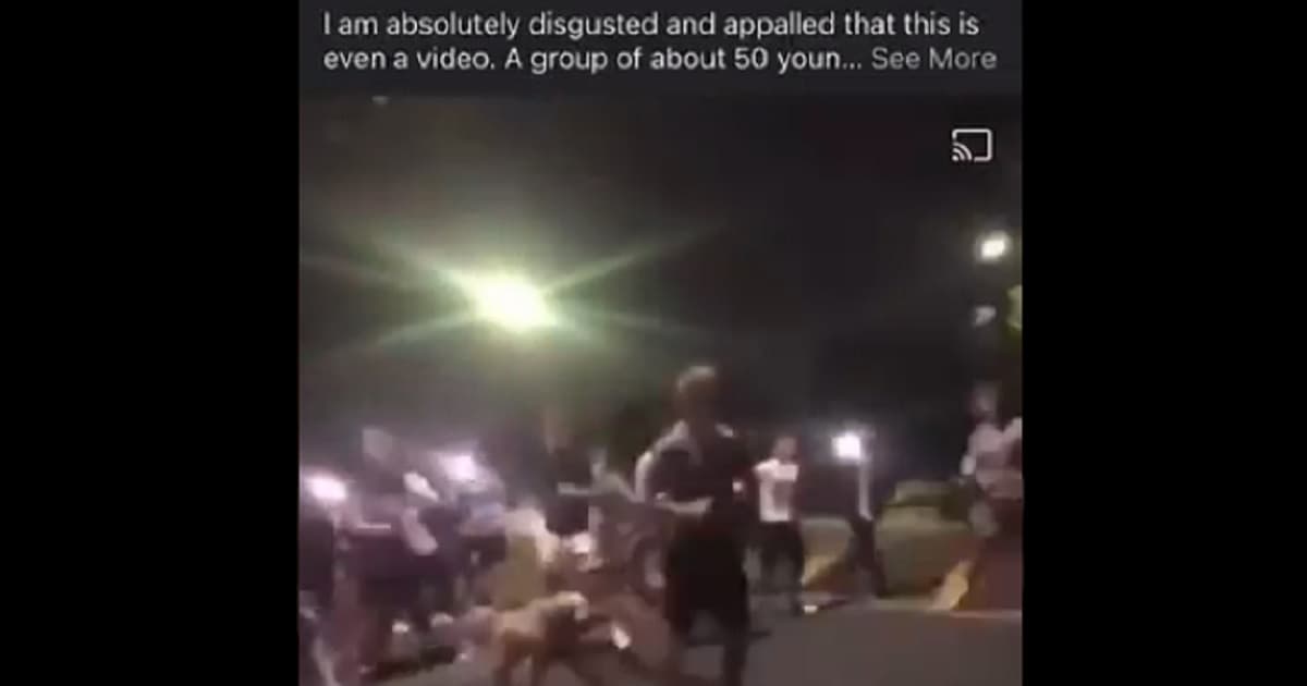 Off-Duty Firefighter Jumped by Mob Who Tell Him It's 'Fight Night' Before Brutal Beating