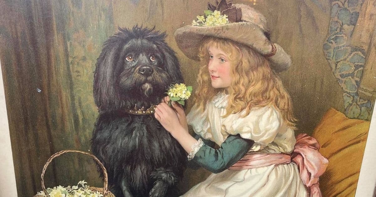 Thrift Shop Discovers 1870s Marriage Certificate Hidden Behind Painting, Reunites Family with Heirloom