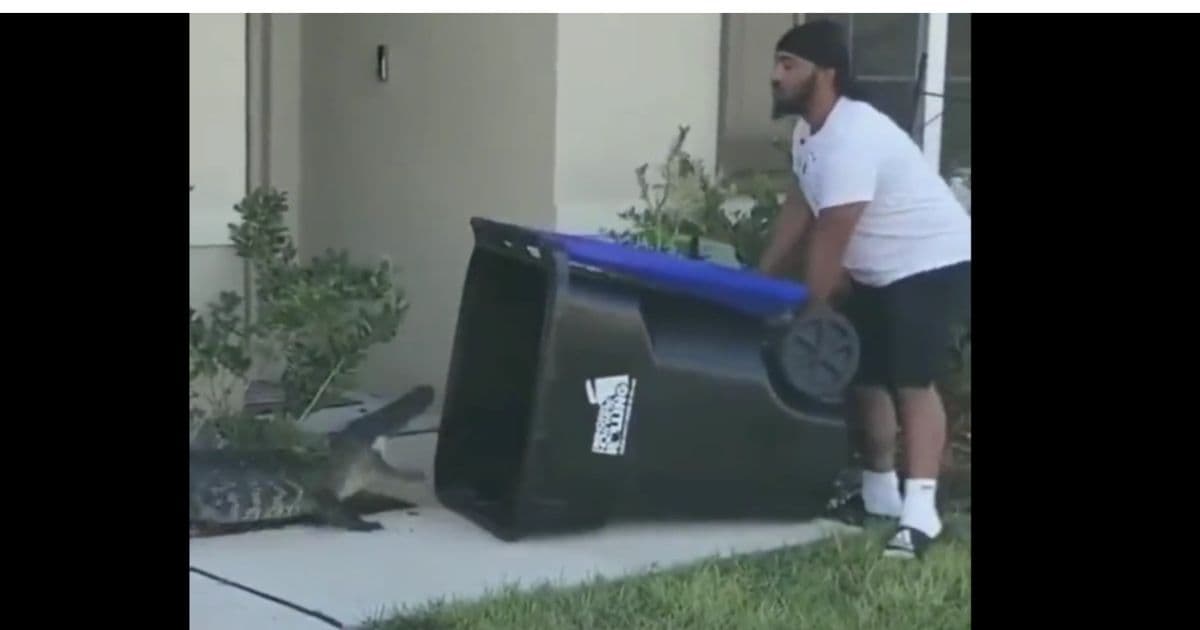 Armed with a Trash Can, Brave Veteran Dad Captures and Relocates 6-Foot Alligator
