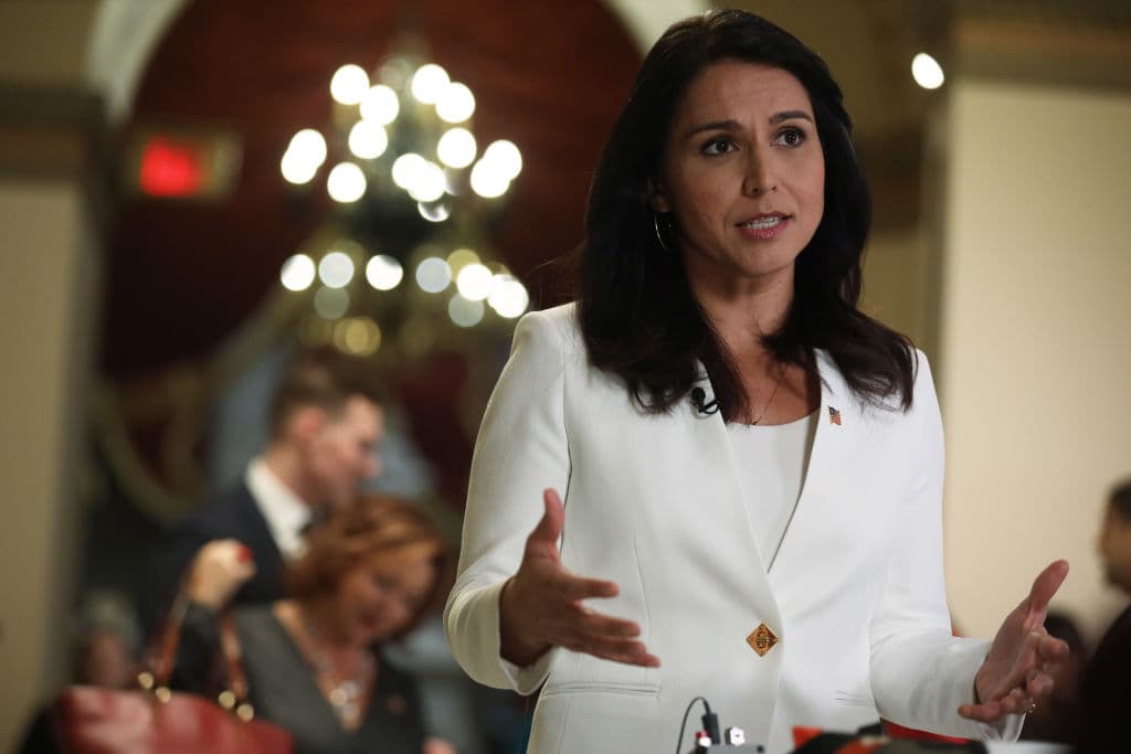 Tulsi Gabbard Rips Biden’s Immigration Policy: The Trump Policy Worked