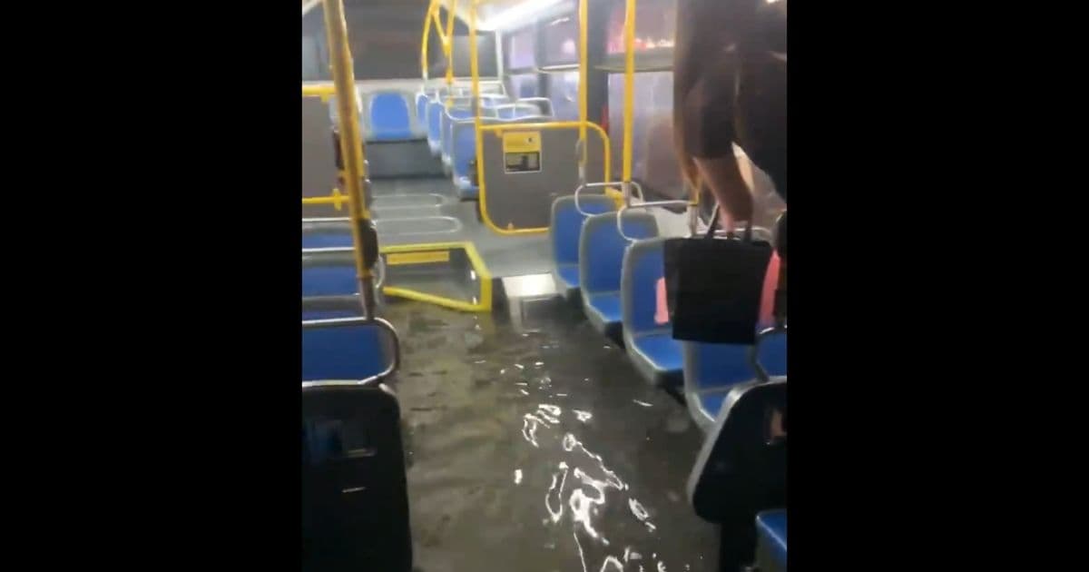 Watch: Bus Driver’s Quick Thinking Saves Her Passengers as Disaster Strikes