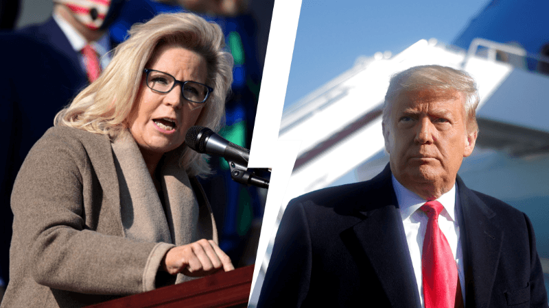 Cheney Reacts To Trump’s Endorsement of Primary Challenger: ‘Bring It’