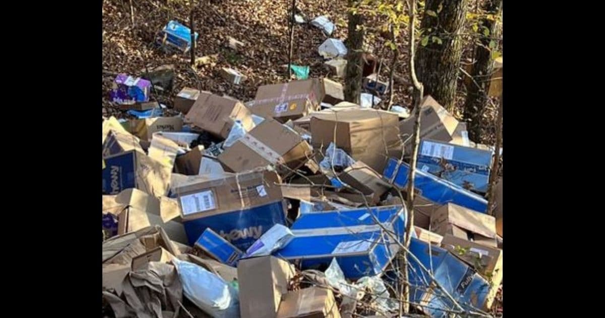 'Holiday Nightmare Comes True' When Man Discovers Hundreds of FedEx Packages in Ravine