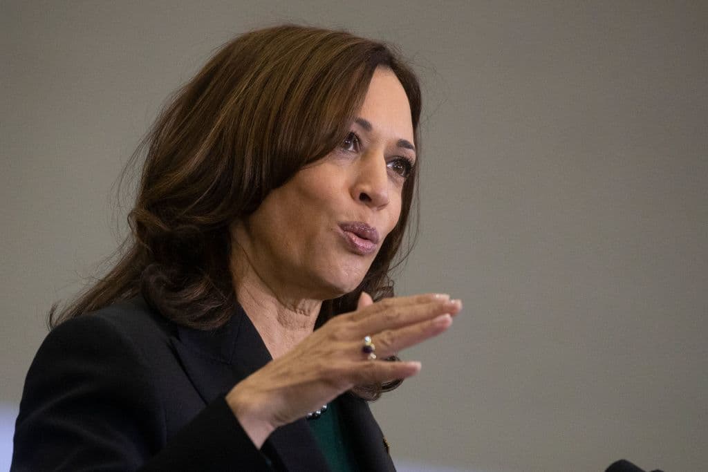 Harris Claims the ‘Rights of All Americans Are at Risk’ After Draft SCOTUS Opinion Leak