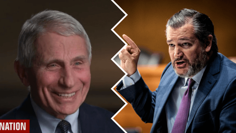 Fauci Fires Back at Cruz for Suggesting He Should Be Prosecuted – Brings Up Jan. 6