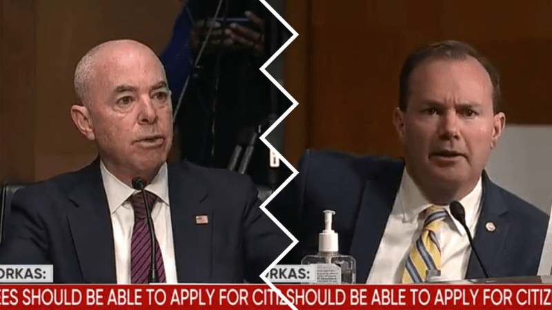 Mike Lee Blasts DHS Secretary for Not Defending Border Patrol Agents Accused of Whipping Migrants