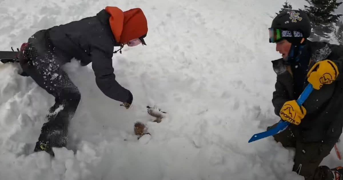 Video: College Students Find and Rescue Dog Buried by Avalanche, Missing for Over 20 Minutes