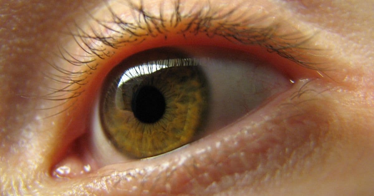 Woman with Cutting-Edge Eye Implant Heard Small Beeping on Subway Before Her Entire World Went Dark