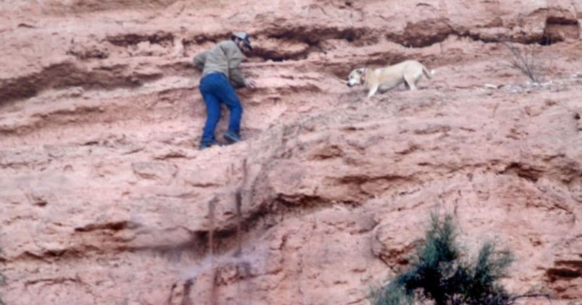 Video: Rescuers, Fire Department and Owner Come Together to Save Missing Dog Found Stuck on Cliff