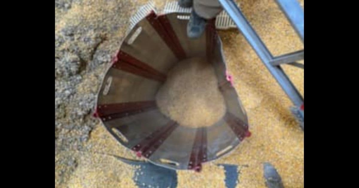 'Most Complex' Rescue First Responders Have Seen: Farmer Found Buried in Grain Bin up to His Mouth