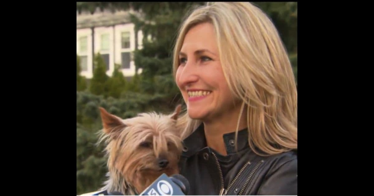 Dog Missing for 11 Years Finally Makes It Home Just in Time to Comfort Grieving Family