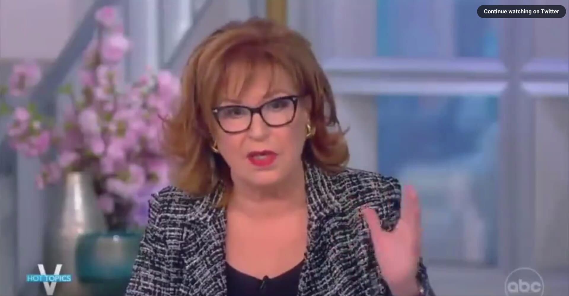 Joy Behar Rants About Gun Rights Case Before the Supreme Court but Gets Details Very Wrong
