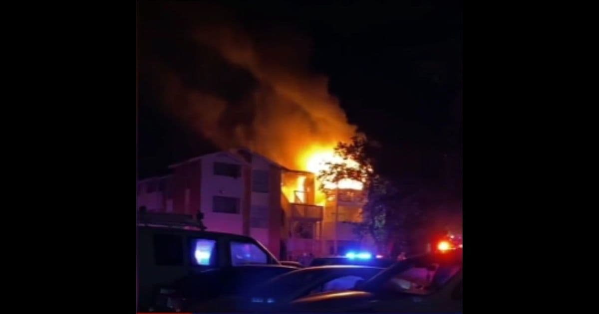 Firefighters Save Man and Dog Trapped on Third Floor of Burning Apartment with No Way Out