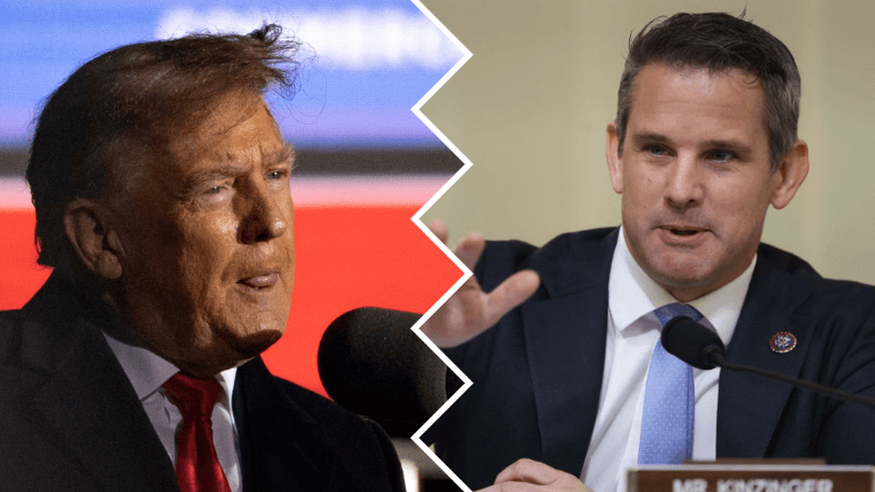 GOP Rep Who Voted for Impeachment Claims It Would Be ‘Fun’ to Run Against Trump in 2024