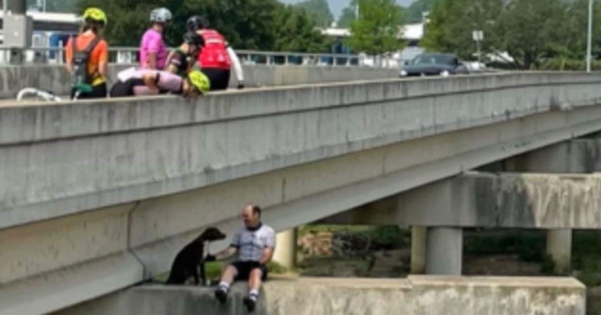 Cyclists Rescue Dog Stranded on Bridge Support Beam: 'The Look on Her Face Was Despair'