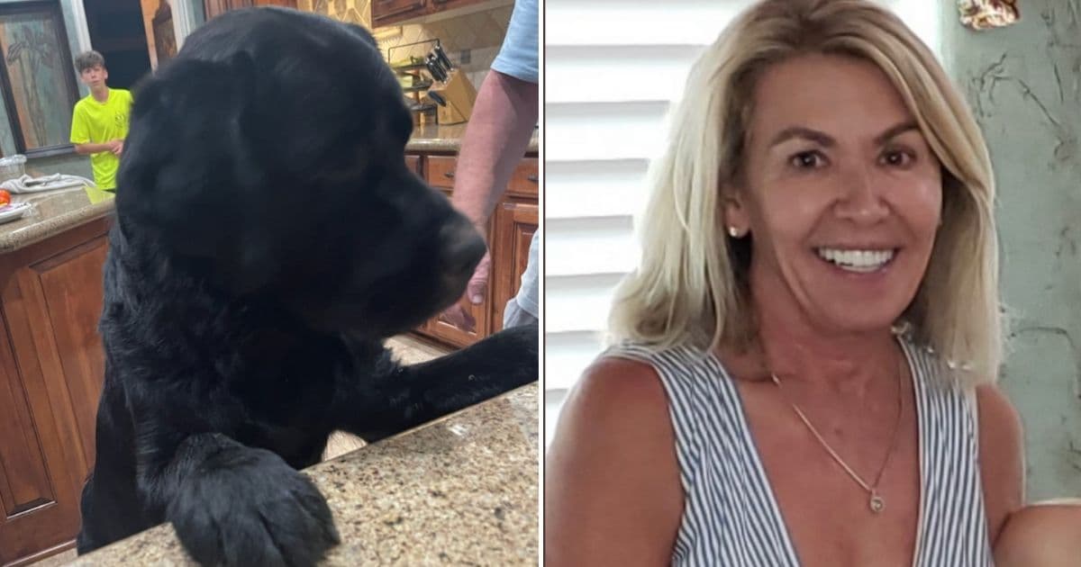 Hero Dog Leads Rescuers to Mother with Dementia Who Was Lost in Woods for Three Days