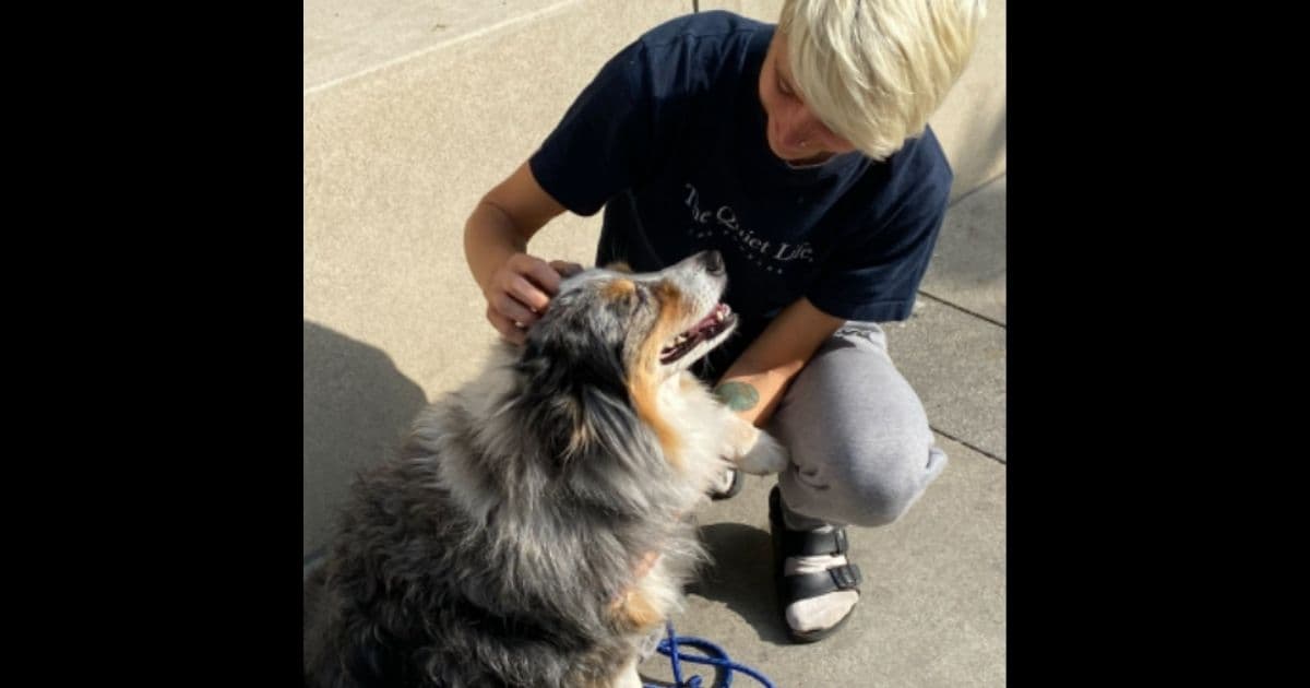 Nurse Travels Cross-Country to Work at Children's Hospital, Then Thief Steals Her Camper and Dog