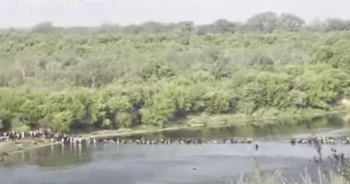 Watch: Migrants Thank Biden for Allowing Them to Cross Border Illegally