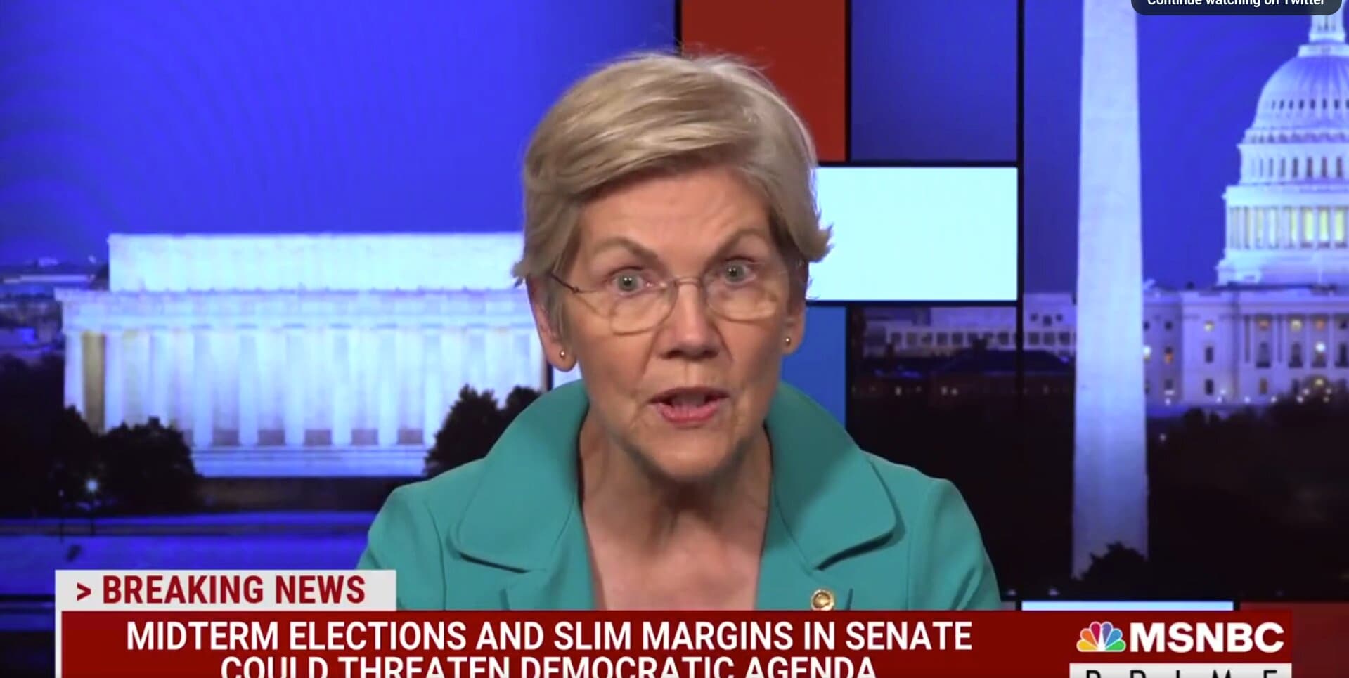 Video: Warren Asked the Big Question About Biden and 2024 – Tells Dems to ‘Stop the Catnip’