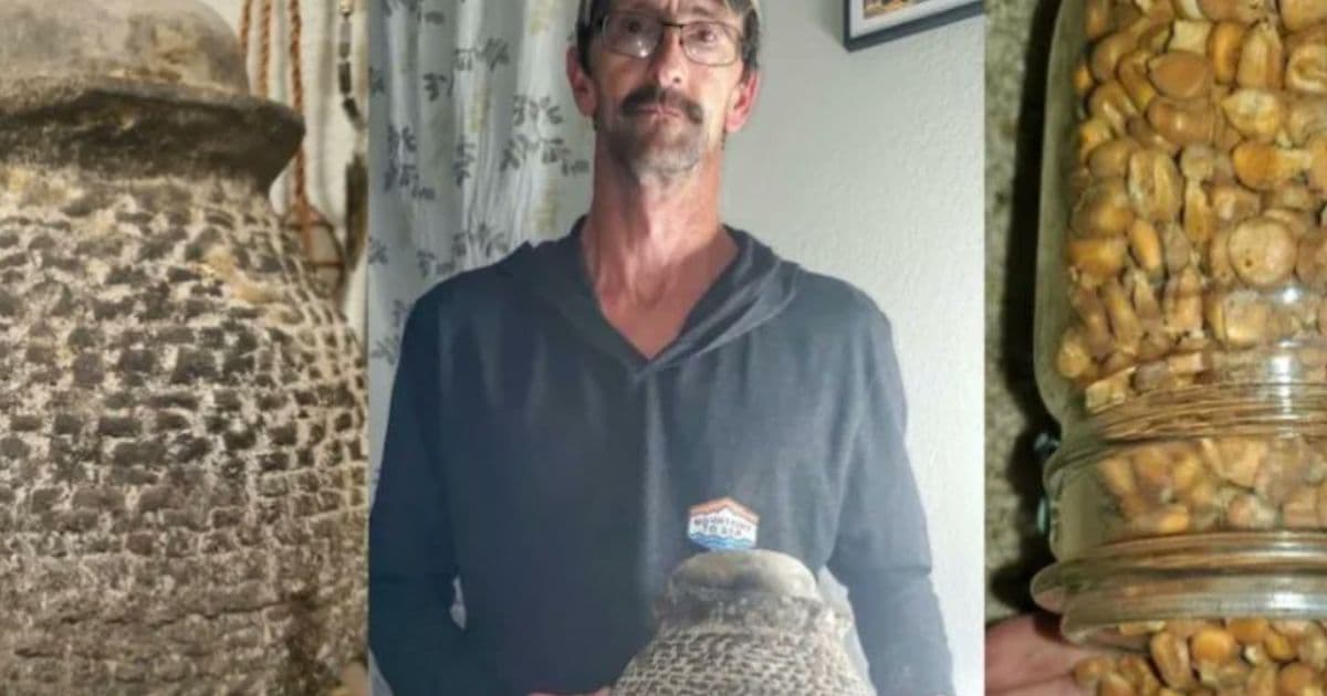 Rancher Finds Native American Artifact; Unsealing 'Round Rock' Reveals 1,000-Year-Old Corn with Lost Genome