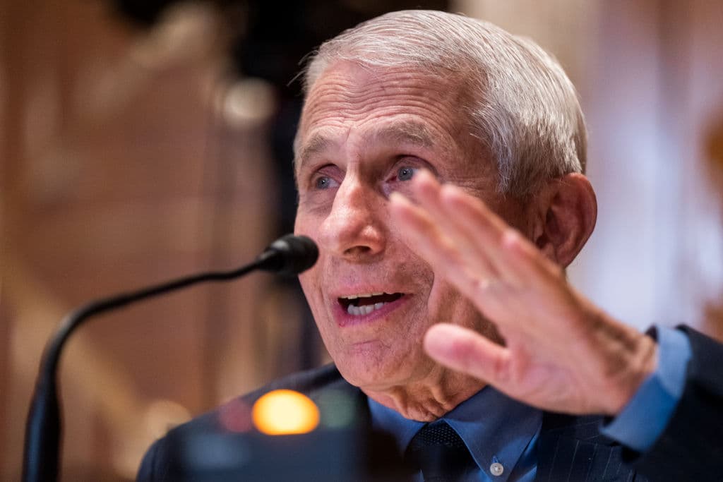 Fauci Family Net Worth Increased to Whopping Sum During COVID Pandemic: Report