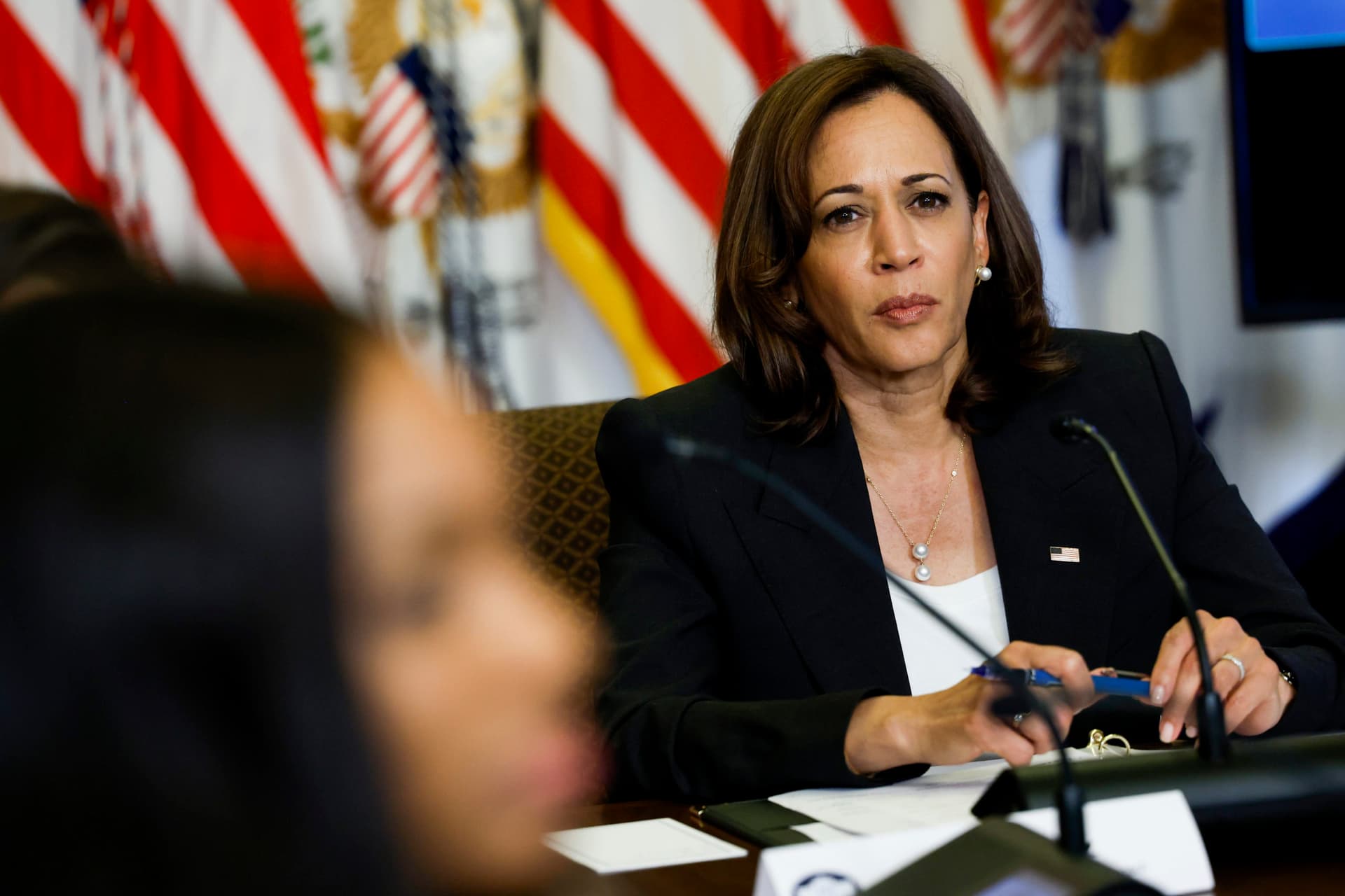 ‘She’s Dead Wrong’: Dem Lawmaker Criticizes Kamala Harris for Her Comments on the Border