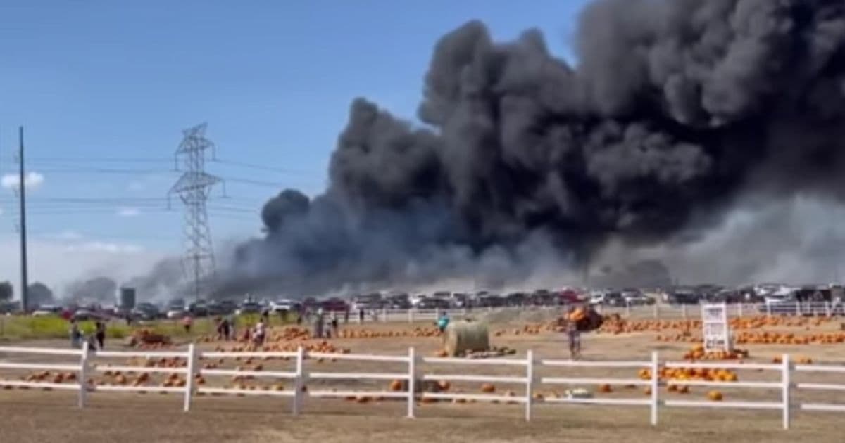 An Afternoon at the Pumpkin Patch Turns Chaotic as Over 70 Vehicles Burst Into Flames