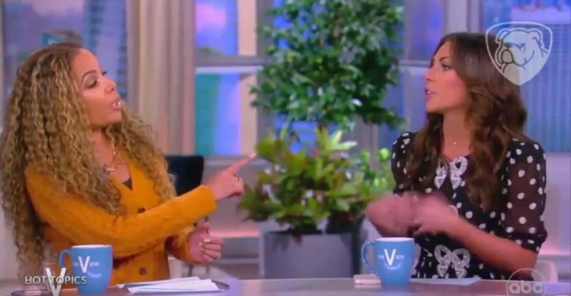 Sunny Hostin Accuses Conservative Co-Host of ‘Twisting’ Her Comment About White Women and Roaches