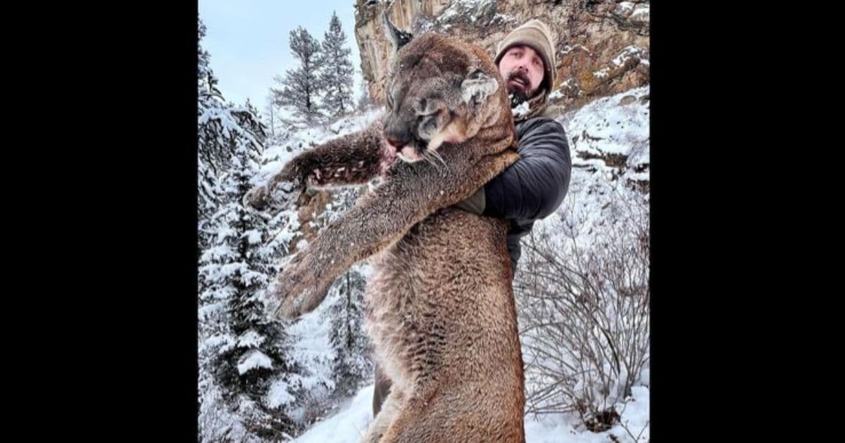 NFL Champ Kills Giant Mountain Lion, Environmentalists Get Up in Arms and Make Fools of Themselves