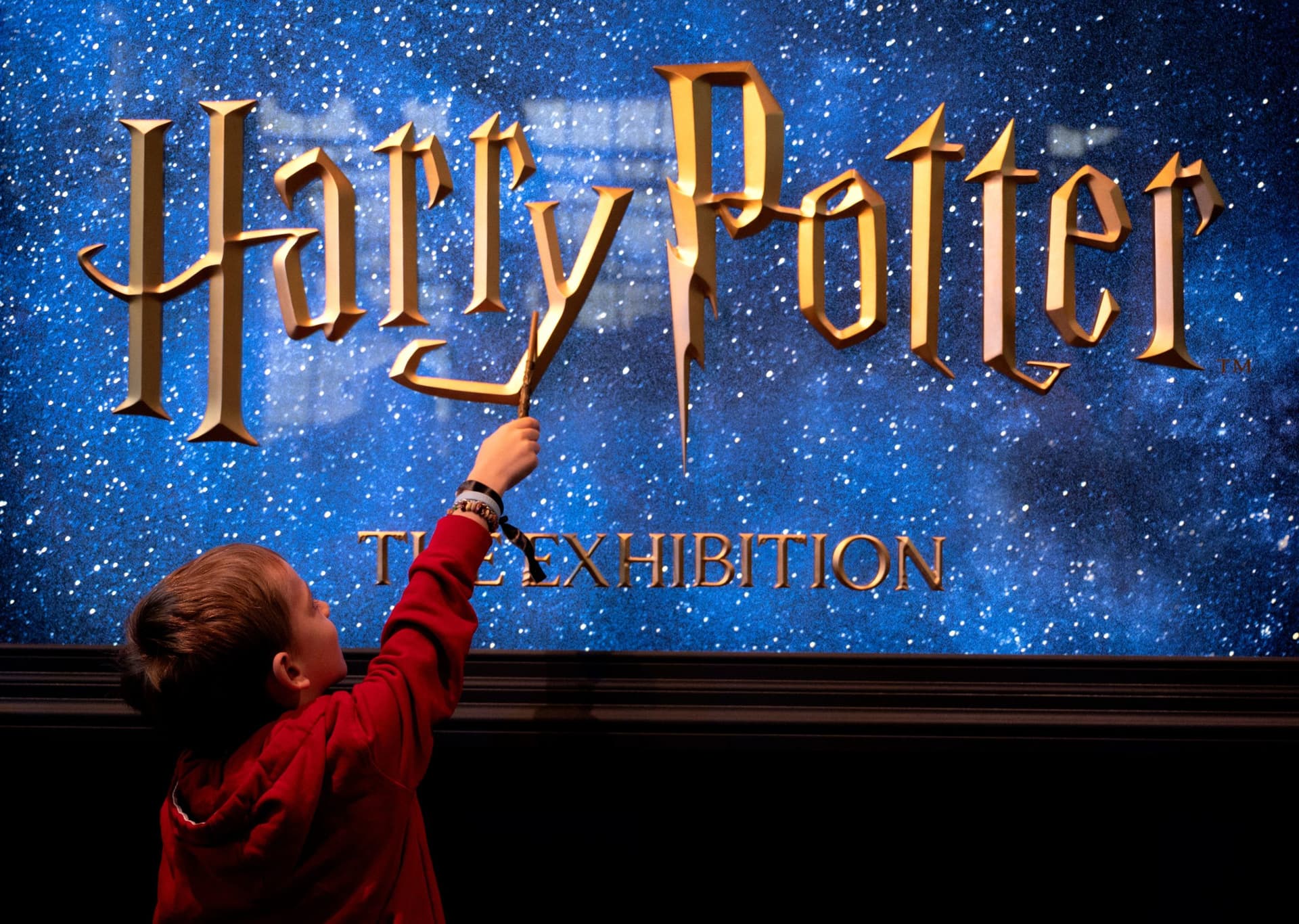 Elon Musk Blasts ’10 Million Wokeys’ in Response to Harry Potter-Themed Story