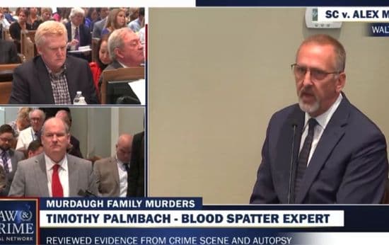 Blood Spatter Expert Shakes Up Murdaugh’s Double Murder Trial with New ‘Two-Shooter Scenario’