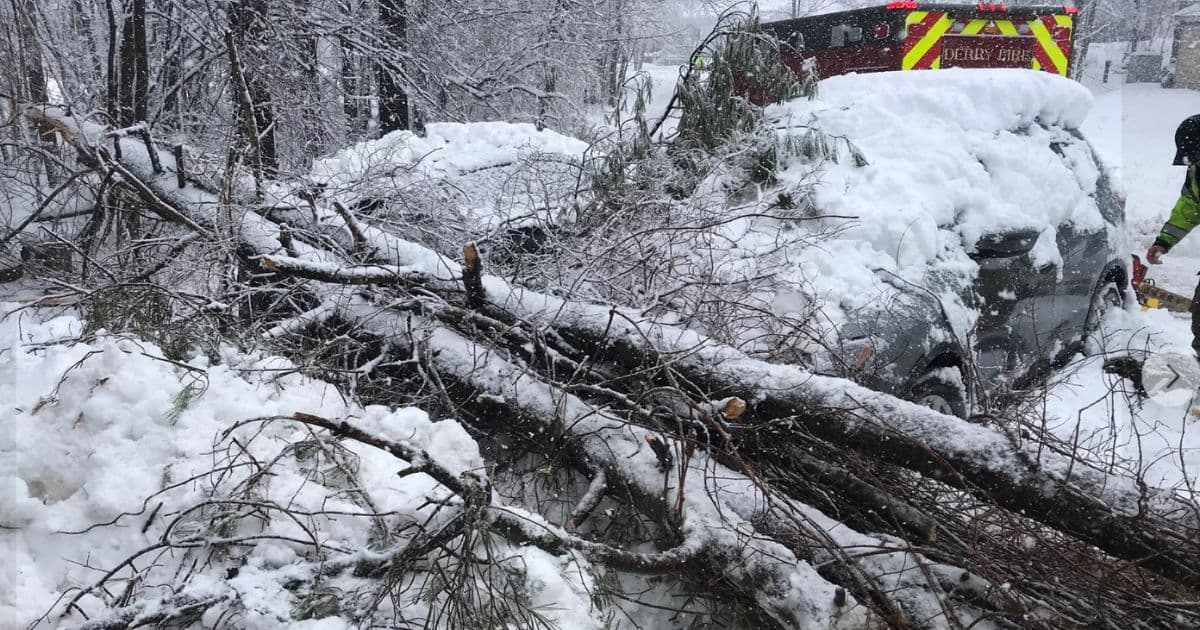 19 Firefighters and Police Use Bare Hands, Chainsaws and Shovels to Save Child Struck by Fallen Tree