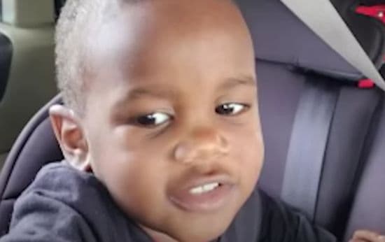 Toddler Found in Alligator’s Jaw Drowned by Father: Authorities