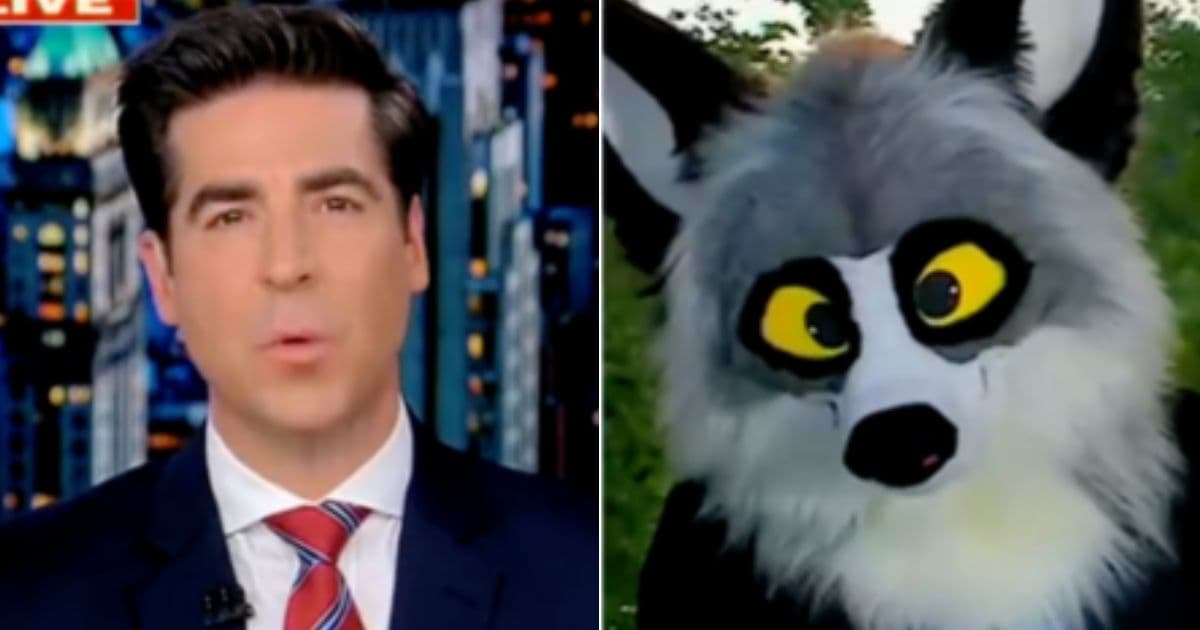 Watch: Jesse Watters Absolutely Dismantles 32-Year-Old Furry Wanting Children at Conventions