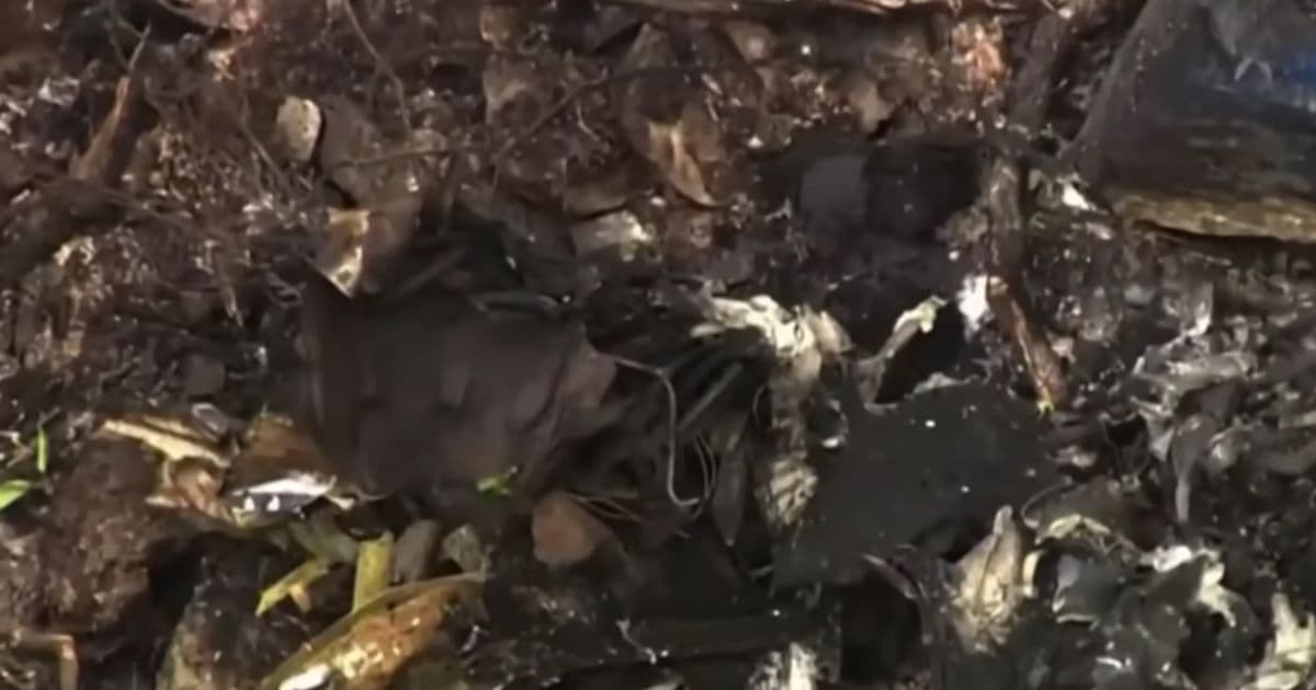 Mystery Health Issue Explored As Cause of Plane Crash That Killed Trump Donors’ Family, Scrambled F-16s