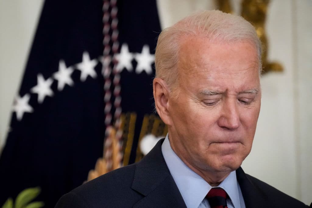 New York Times Writer Slams Biden’s Decision to ‘Punish’ Granddaughter
