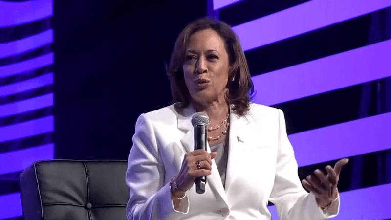 Kamala Harris Tries to Explain ‘Culture’ — It Goes About How You Would Expect
