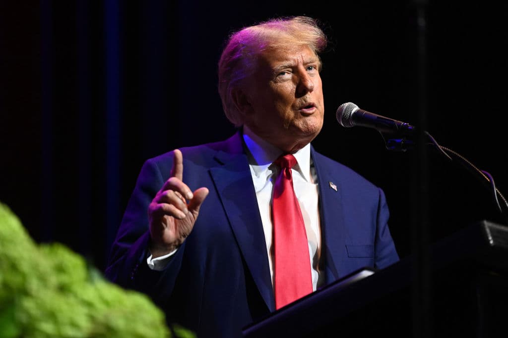 Trump Gives House Republicans Urgent Advice on Border Deal