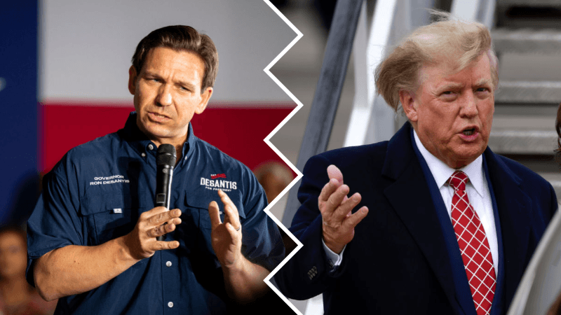 Trump Takes Shot at DeSantis While He Handles Hurricane: ‘What a Shame for Florida’