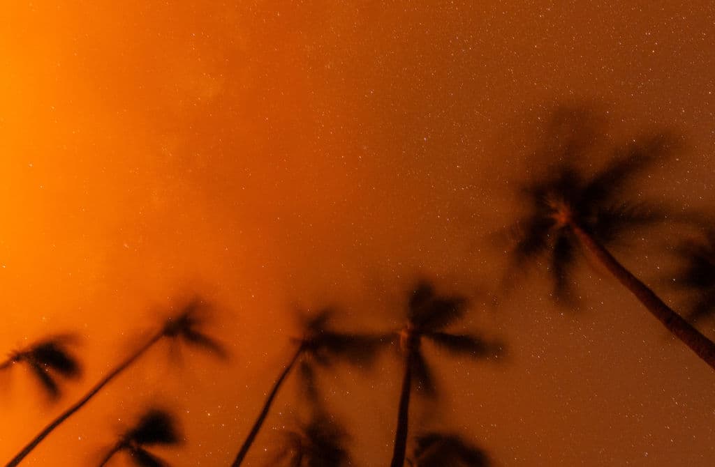 Woman Who Escaped Maui Wildfires on Foot Dies After Weeks of Hospitalization