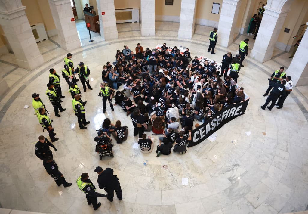 Roughly 300 Pro-Palestinian Protesters Arrested After Assembling in Capitol Office Building