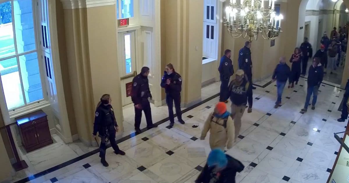 New Jan. 6 Footage Shows Protesters Parade Uninhibited by Police